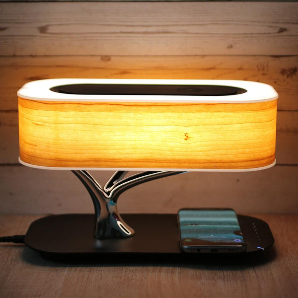 Light Of Life (wireless charging & Bluetooth Speaker)