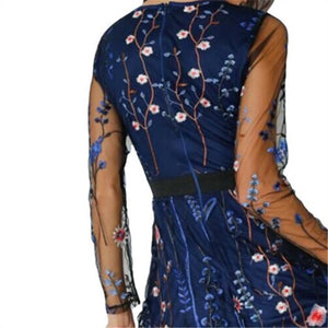 Elegant Embroidery Lace Stitching Long Sleeve Dress