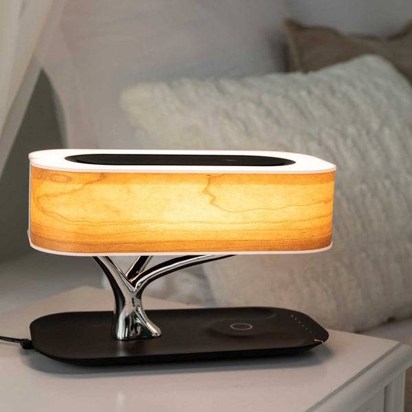 Light Of Life (wireless charging & Bluetooth Speaker)